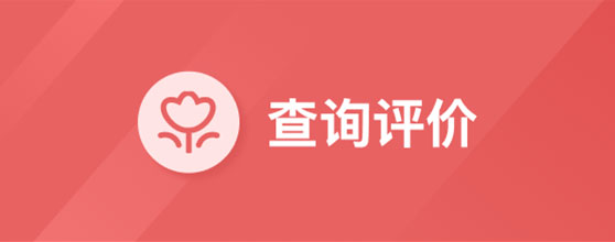 查詢?cè)u(píng)價(jià)